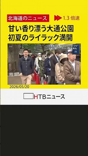 初夏の訪れ告げる「さっぽろライラックまつり」開幕 大通公園で約400本が満開