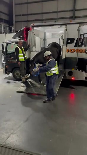 545K views · 5.6K reactions | Safe travels, VE ❤️ ( via Twitter - @VerryElleegant) | Racing.com | Facebook