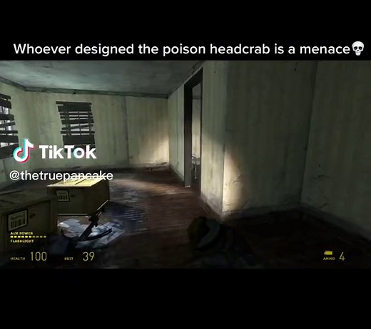 Battling Headcrabs in Half-Life 2