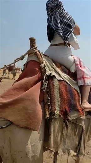 Riding camels in the pyramids of Giza is a fun thing 🐫🌤️ Call us at [ 20 1090839174] info@kingegypttours.com kingegypttours.com https://www.facebook.com/share/18n4RGwnvG/?mibextid=wwXIfr https://www.instagram.com/king.egypttours?igsh=aWRjeXRybWkyNmFr&utm_source=qr #kingegypttours#GizaPyramids #Sphinx #EgyptTour #TravelEgypt #ExploreHistory | Kingegypt Tours