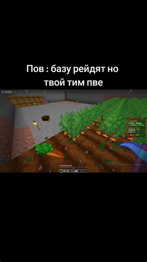 Отправь другу... | pulsevisuals.pro | ip:tt.funtime.su | #PulseVisuals #фантайм #мем #майнкрафт