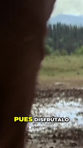 ¡Prepárate! 'Sobreviví A Peores', La Advertencia Que Te Helará La Sangre 🤠🔥 OPEN RANGE (2003) Cuando el ganado es tu vida… la libertad no se negocia. ⚡ 🐎 Hombres libres en tierras abiertas 🔫 Un pueblo dominado por el miedo 💀 Y un conflicto que solo puede resolverse de una manera Robert Duvall demuestra por qué es una leyenda del cine, junto a un duelo final que ya es historia del western moderno. Aquí no hay discursos largos. Solo polvo… miradas… y disparos que retumban. 🎬🔥 #OpenRange #Ro