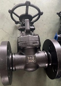 [Hot Item] DN40 1.5" ANSI 300 ASTM A105 Body Trim 13%Cr Stl Seat Gate Valve