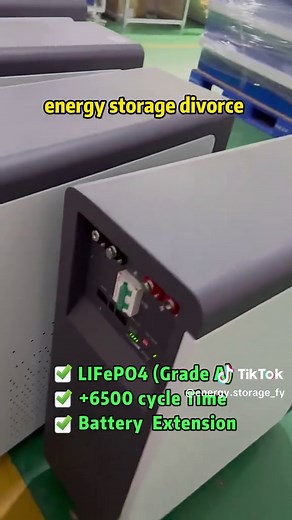 energy.storage_fy no TikTok