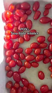 Mouthwatering Vegan Dishes You Can Make at Home