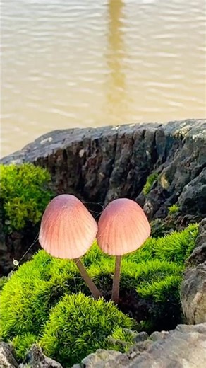 Take a break from loud traffic noises. #foodbuddy007 #washingtonstate #peace #nature