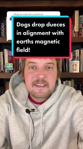 Do Dogs Really Align with Earth's Magnetic Field?