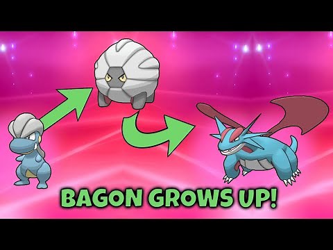 How to Evolve Bagon | Salamence | Pokemon Sword & Shield