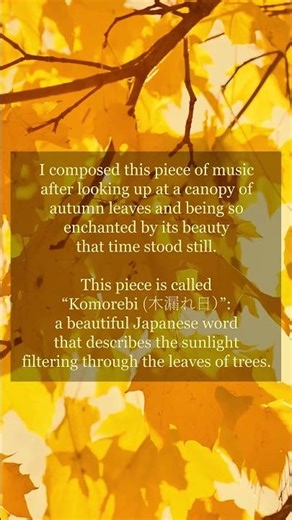 komorebi: sunlight filtered through the leaves of trees. #piano #composer #originalcomposition