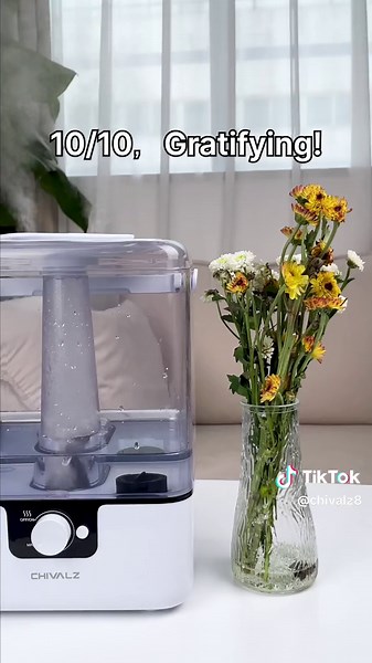 Rating for my home humidity!💦👏🏻☺️#chivalz #chivalzhumidifier #humidifier #moisture #home #benefits #comfortable #tiktokmademebuyit