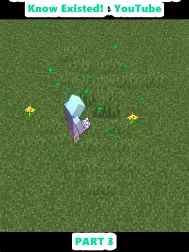 91 Minecraft Things You Didn't Know Existed! - YouTube (3)