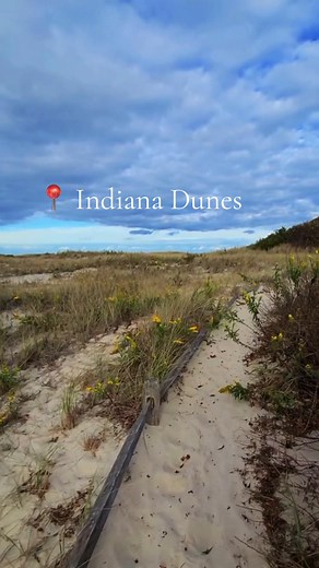Indiana Dunes State Park: Stay Near the Shore at Comfort Inn