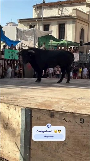 This guy is the real deal 🤠😱 #cattleman #farm #shortsviral #agribusiness