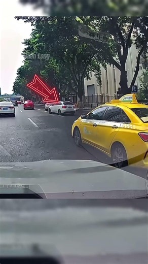 Watch Out for These 5 Car Horn Sounds! New Drivers Must Know This