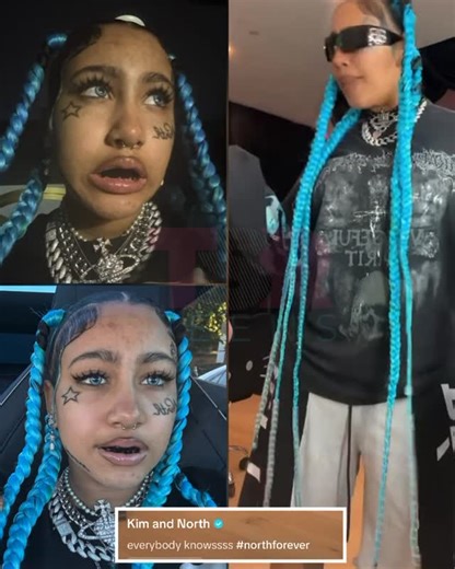 The Shade Room Teens on Instagram: "Meanwhile #NorthWest is having a time over on TikTok after dropping a new vid and some selfies 🩵 (✍🏾: #TSRStaffTC)"