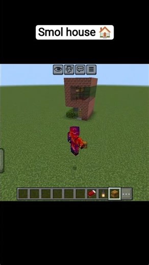 smol house 🏠 in Minecraft shorts 💀