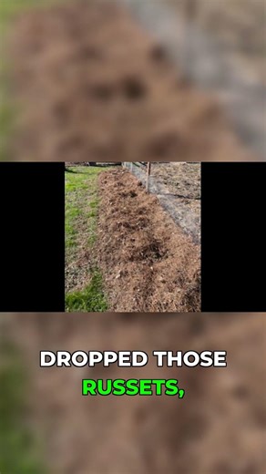 Giant Potato Quest! See How It's Done! 🍠