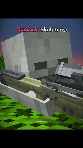 Minecraft Bugrock and Java Skeletons Moment