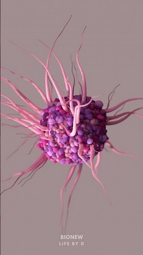 Dendritic Cells | A type of Immune cell | #science #biology #cellbiology #cells