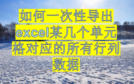 如何一次性导出excel某几个单元格对应的所有行列数据
