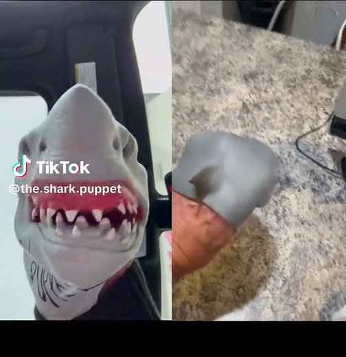 Shark Puppet Steals My Cheese: Funny Puppet Show