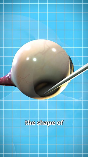 13M views · 147K reactions | Isaac Newton’s DIY Eye Experiment  | Zack D. Films | Facebook