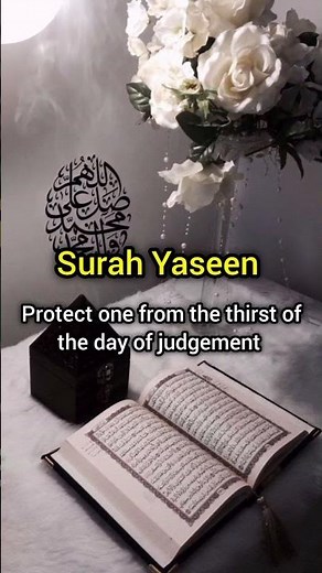 Benefits of Some Surahs in the Quran 📖✨ | Powerful Islamic Reminder #islamicshorts