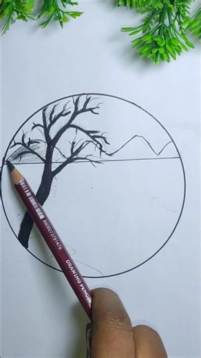 How to Drow a circle drawing for beginners #art #drawing #shortvideo #loveart #sketchart #
