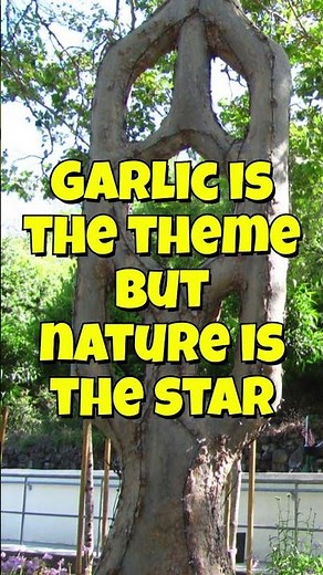 Gilroy Gardens/ Garlic Theme Park #californa #garlic #themepark #explore
