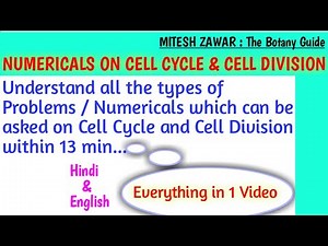 NUMERICALS ON CELL DIVISION || Problems on Cell Cycle and Cell Division