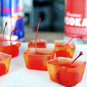 Vodka Red Bull Jello Shots Cocktail Recipe