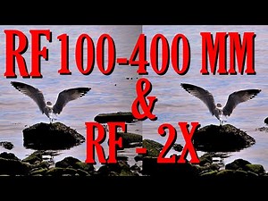 RF 100 400mm F5 6 8 IS USM lens