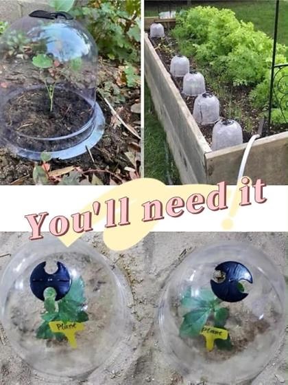 Plant protector cover