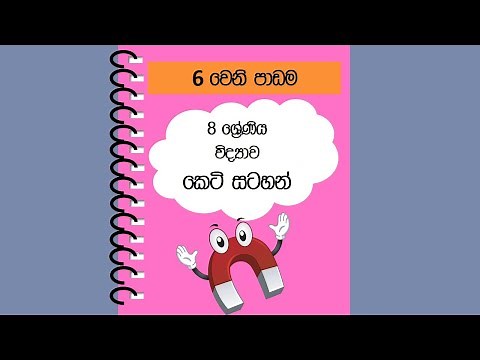 Grade 8 Science Unit 6 Short Notes 🔬 | Easy Revision for Exams