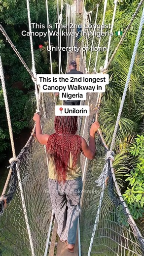 Experience the Excitement of Nigeria's 2nd Longest Canopy Walkway at Unilorin