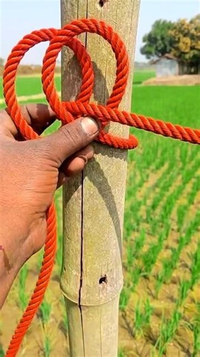 "Magic Knot Technique 🪄"