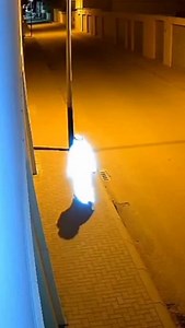 #dog | Cena Por Cena