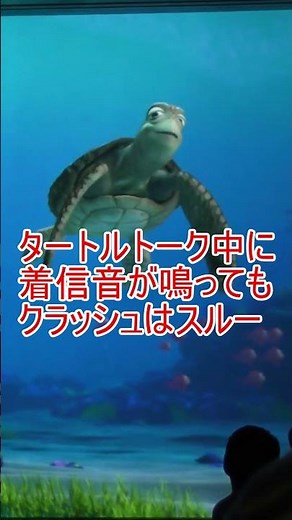 タートルトーク中にゲストの着信音【タートルトーク】東京ディズニーシー