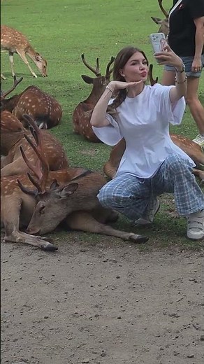 😲 鹿たちとの奇跡のセルフィー！見逃せない！#奈良公園 #奈良の鹿 #鹿 #鹿せんべい #セルフィー #外国人観光客 #奈良観光 #日本旅行 #関西観光