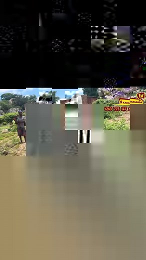 Follow Karanganda TV | Karanganda Tv