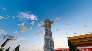 A Group Of Peace Doves Flying Freely In The Sky