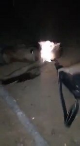 Gang Finished Their Rival With Automatic Weapon