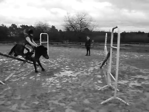 L'amour entre une cavalière et son poney