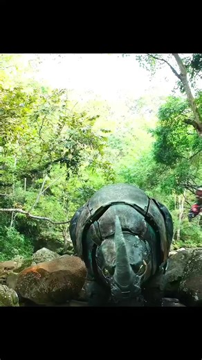 Transformers: Rise of the Beasts - Optimus Prime Edits