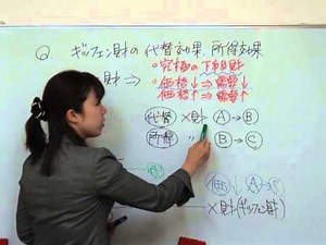 経済学・経済政策（ギッフェン財の代替効果、所得効果）