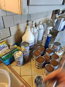 Feeding time 😻..#davidloop65 | David Loop