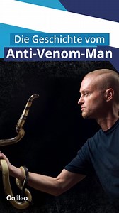 🤯Tim Friede ist immun gegen die giftigsten Schlangen unseres Planeten. In seinem Blut schlummert ein wertvolles Gegengift, für das ein Startup bereit ist, Millionen zu zahlen. 👉Wie es der Anti-Venom-Man geschafft hat, nicht durch die vielen Schlangenbisse bei seinen Selbstversuchen zu sterben, erfährst du bei #Galileo. Jetzt kostenlos auf #Joyn streamen: Link in Bio! #Wissen #Reel #Schlangen | Galileo