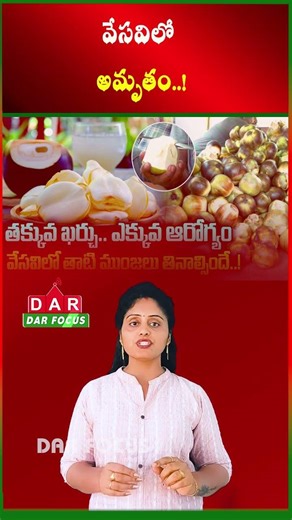 Ice Apple in Summer - Natural Food to Beat Heat & Dehydration | Latest updates | DAR FOCUS