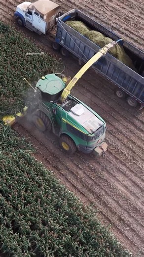 Pete Knelsen on Instagram: "#sorghum #silage #robinsonfarms #texas #agriculture #johndeere #djy #dronestagram"