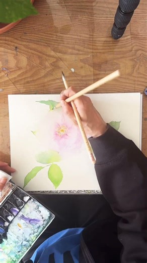 今年初めての薔薇スケッチ！ #watercolor #水彩画 #水彩スケッチ